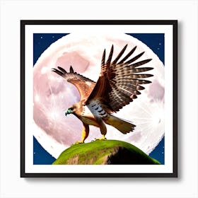 Hawk In Flight 6 Art Print