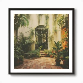 Courtyard With Potted Plants Art Print