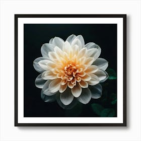 Dahlia Flower Art Print