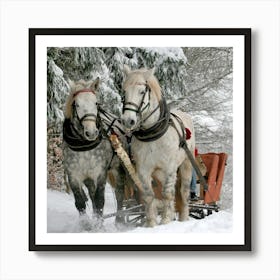 Two Horses Pulling A Sleigh Art Print