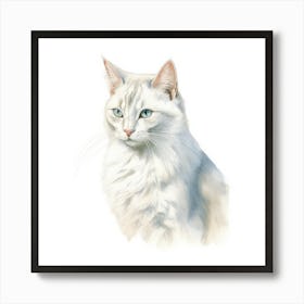 Burmilla Longhair Cat Portrait 3 Art Print