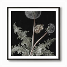 Dandelion And Butterfly Art Print