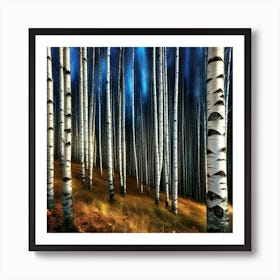 Birch Forest 8 Art Print