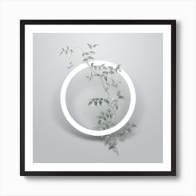 Vintage Bridal Creeper Minimalist Floral Geometric Circle on Soft Gray n.0081 Art Print