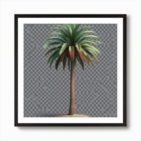 Palm Tree Isolated On Transparent Background Art Print