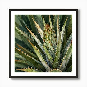 Leonardo Lightning Xl Watercolor Art A White Aloe Plant With G 2 Art Print