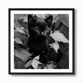 Black and White Black Kitten In Leaves 5 Art Print