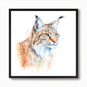 Balkan Lynx Cat Portrait 1 Art Print