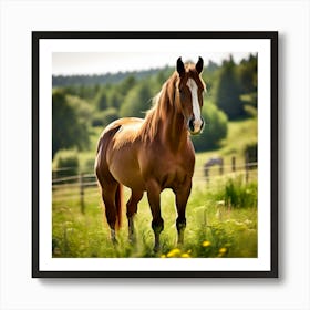 Horse In A Field 12 Art Print