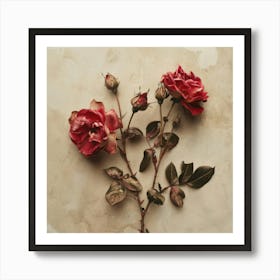 Roses 3 Art Print