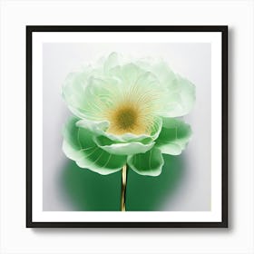 Peony 1 Art Print