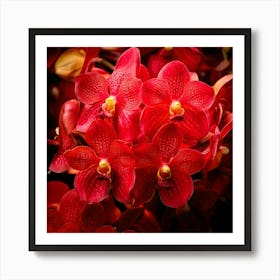 Firefly Vibrant Explosion Of Red Orchids In Full Bloom 23429 Art Print