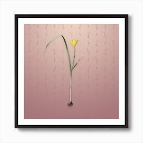 Vintage Cape Tulip Botanical on Dusty Pink Pattern n.1002 Art Print