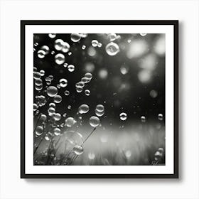 Water Bubbles Art Print