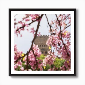 Alhambra Pink Blossom Art Print