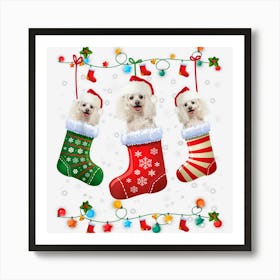 Poodle Christmas Socks Funny Xmas Pajama Dog Lover Affiche