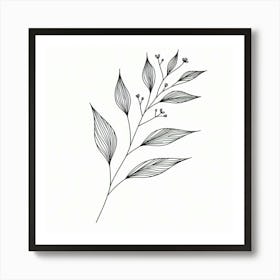 Drawing Of A Leaf Art Print