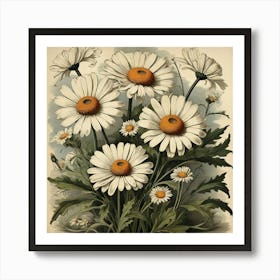 Oxeye Daisy Floral Botanical Vintage Poster Flower Art print Art Print