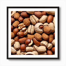 Nuts And Seeds 4 Art Print
