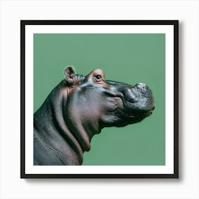 Animal Hippopotamus In The Green Room Square Version Art Print