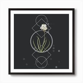 Vintage Arabian Starflower Botanical with Geometric Line Motif and Dot Pattern Art Print
