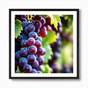 Grapes On The Vine 25 Art Print