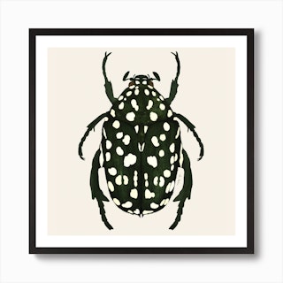 Green Beetle Square Art Print