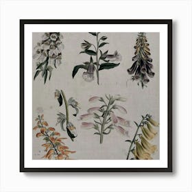 Foxgloves Art Print