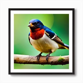 A beautiful and colorful bird Art Print