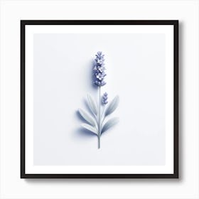 "Lavender Serenity"  'Lavender Serenity' captivates with its delicate portrayal of a lavender sprig, a symbol of tranquility and purity. The soft shadows and gentle gradients bring each petal and leaf to life, creating a three-dimensional effect on a two-dimensional surface. This art piece exudes a sense of calm and is perfect for creating a peaceful and serene environment.  This piece would be an ideal choice for those seeking to infuse their space with the calming aura that lavender is renowned for. It’s an excellent selection for wellness spaces, bedrooms, or any area where relaxation is paramount. Art Print