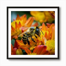 Bee On A Flower 2 Art Print