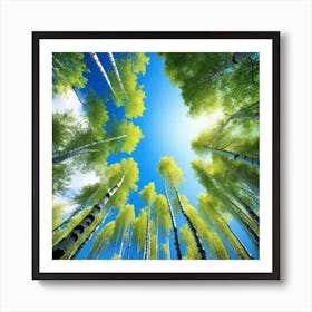 Birch Trees 53 Art Print