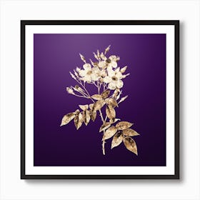 Gold Botanical Musk Rose on Royal Purple n.3592 Art Print