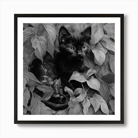 Black and White Black Kitten In Leaves 4 Art Print