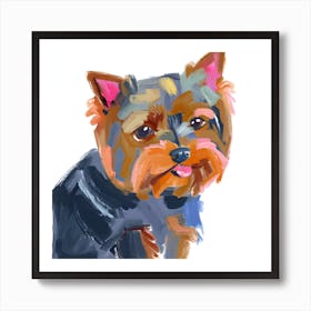 Yorkshire Terrier 03 Art Print
