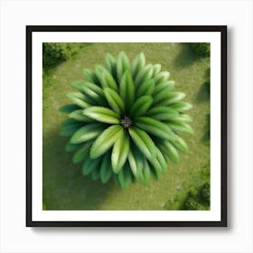 Top View Of A Palm Tree Art Print