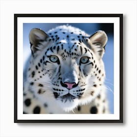 Snow Leopard 14 Art Print