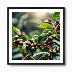 Coffee Beans On A Tree 29 Art Print