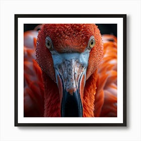 Flamingo 22 Art Print