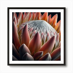 King Protea 1 Art Print