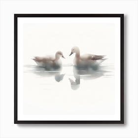 Two Ducks In The Water Art Print