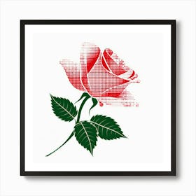 Red Rose On White Background Art Print