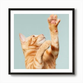 Cat Reaching For A Toy 1 Art Print