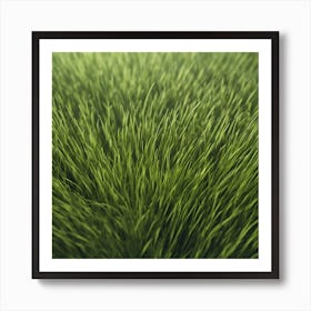 Grass Background 45 Art Print