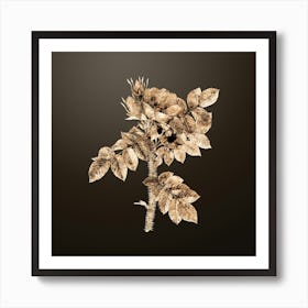 Gold Botanical Kamtschatka Rose on Chocolate Brown n.3829 Art Print