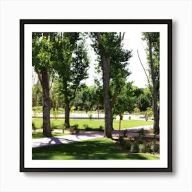 Park With Trees 1 Art Print