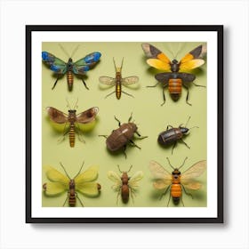 Insect display Art Print
