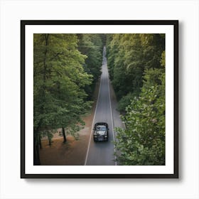 A Birds Eye View Of A Forest Art Print