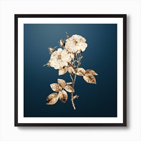 Gold Botanical White Damask Rose on Dusk Blue n.0970 Art Print