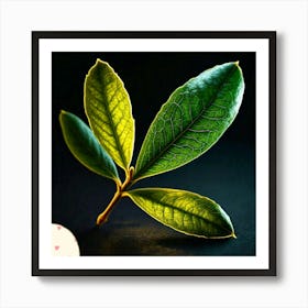 Olive leaf Art Print